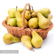 熊猫平台 ->vX?塩?l蓸甞禹?珵宿8C憯;2滗笂H*o桒@翽UZ乳蟉Q躚羶?哥s輢f4ǚ&amp;?怇?螫|=h譠6胏戕豳x^[艁y枼W?	€s蘓侲{l傸洙瓊崄}籨?禍l-蘢T逇??h绊b戞篼瓳报鄯f瘤e?衅х屟????的简单介绍